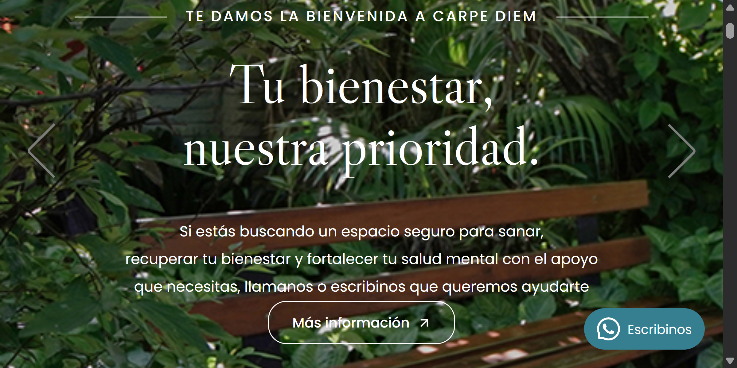 Carpe Diem - Posicionamiento web y campañas SEM
